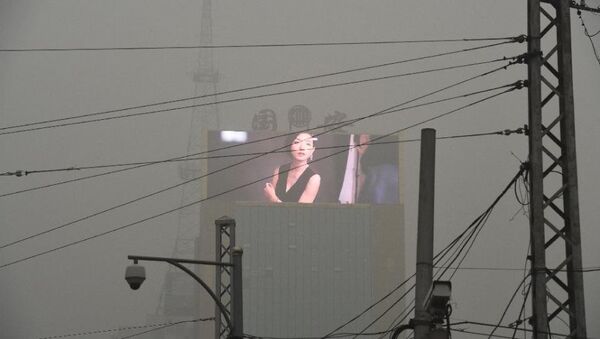 在雾霾笼罩的上海发现约12万个伪造的呼吸面具 - 俄罗斯卫星通讯社