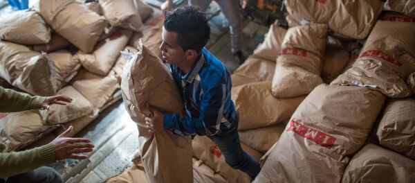 紅十字會：敘利亞1300萬人需要人道援助 - 俄羅斯衛星通訊社