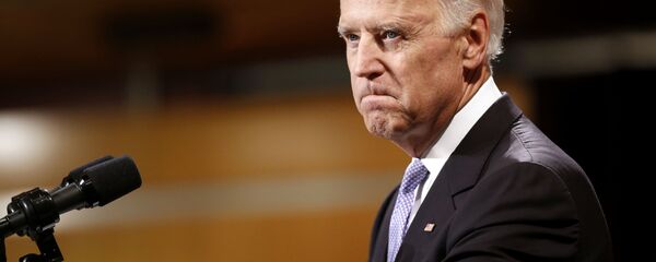 美国民主党正式推选乔∙拜登参加总统大选 - 俄罗斯卫星通讯社