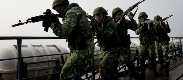 俄对华武器供应约占出口总量的12% - 俄罗斯卫星通讯社