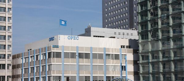 伊拉克期待欧佩克30日达成限产协议 - 俄罗斯卫星通讯社