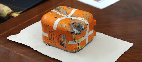 俄苏-24的黑匣子 - 俄罗斯卫星通讯社