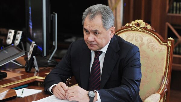 謝爾蓋·紹伊古 - 俄羅斯衛星通訊社