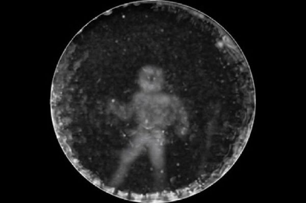 墨西哥科学家解释海豚如何“看到”人 墨西哥科学家解释海豚如何“看到”人 - 俄罗斯卫星通讯社