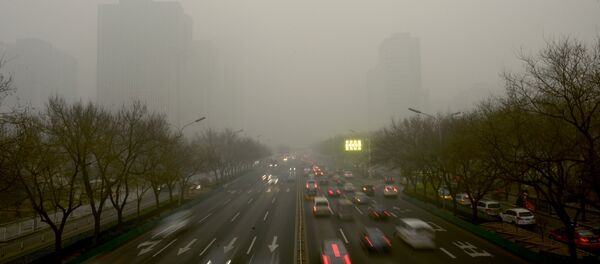 中国消费者愿在5年内支付213美元净化空气的费用 - 俄罗斯卫星通讯社