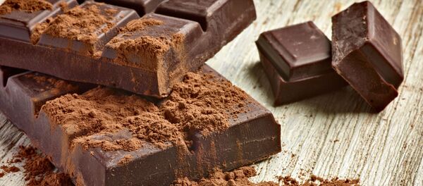 俄遠東科學家研發出添加海藻的“納米巧克力” - 俄羅斯衛星通訊社