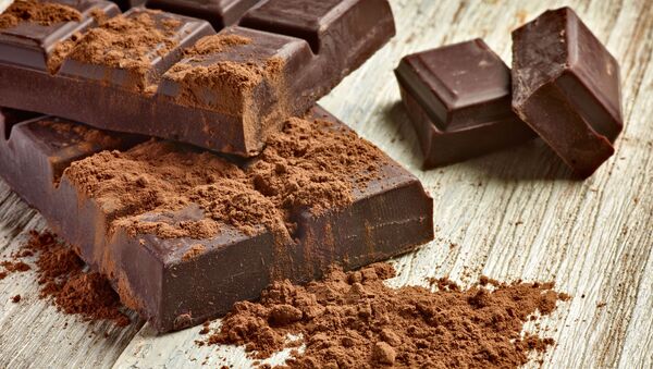 科学家：骨骼会因巧克力变得更好 - 俄罗斯卫星通讯社