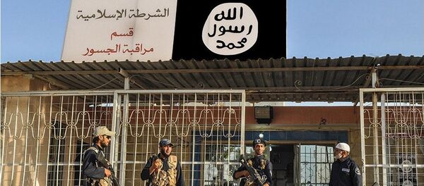 媒体：以色列国防部称“伊斯兰国”长期向土耳其出售石油 - 俄罗斯卫星通讯社