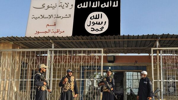 近30名“伊斯兰国”武装分子在阿富汗东部被消灭 - 俄罗斯卫星通讯社