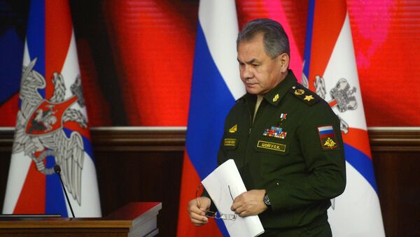 俄防长：俄方与80国开展军事合作 上合组织属优先方向 - 俄罗斯卫星通讯社