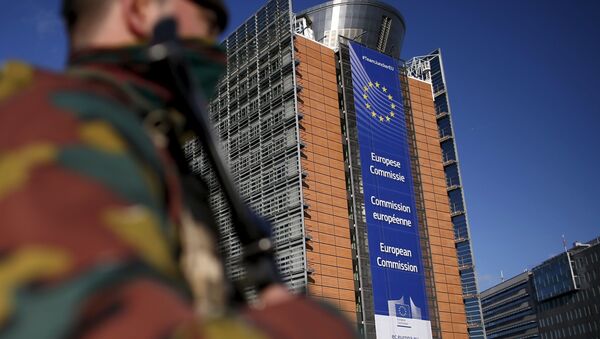 歐委會欲完善歐盟邊防局 - 俄羅斯衛星通訊社