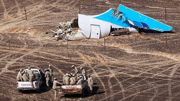 俄A321客機空難調查委員會未發現恐怖襲擊證據 - 俄羅斯衛星通訊社