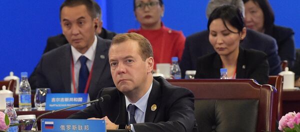 俄羅斯總理德米特里·梅德韋傑夫 - 俄羅斯衛星通訊社