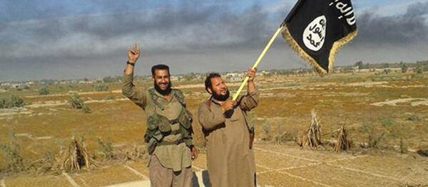 拉夫罗夫：不应邀请叙利亚所有的组织参加调解谈判 - 俄罗斯卫星通讯社