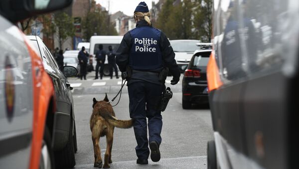 媒体：警方在布鲁塞尔市中心拘捕70多名暴乱分子 - 俄罗斯卫星通讯社
