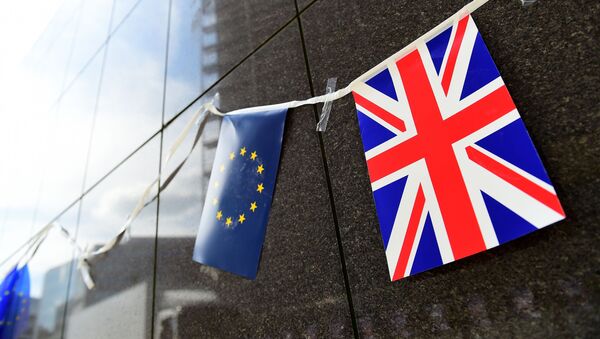英国首相表示，将要求欧盟继续对俄罗斯实施制裁，直到明斯克协议落实为止。 - 俄罗斯卫星通讯社