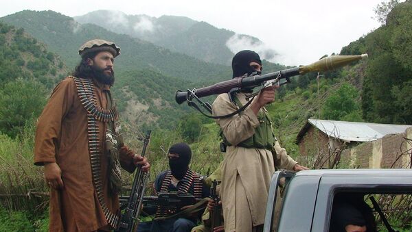 媒体：塔利班声称对袭击阿富汗国防部长住所事件负责 - 俄罗斯卫星通讯社