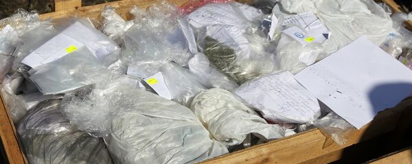 毒品 - 俄罗斯卫星通讯社