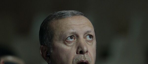 媒体：埃尔多安奇迹般地活了下来 - 俄罗斯卫星通讯社