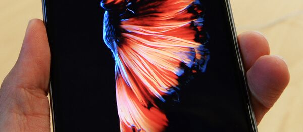 媒體：一名中國人在同學會上送39位同學每人一部iPhone 6S - 俄羅斯衛星通訊社