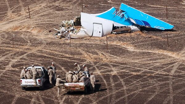 美國認為在西奈半島失事的俄客機由“耶路撒冷支持者”組織引爆 - 俄羅斯衛星通訊社