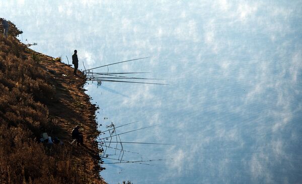 乘热气球俯瞰莫斯科州。 - 俄罗斯卫星通讯社