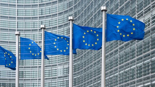 欧盟将对俄乌146个人37法人的制裁延长至2017年3月 - 俄罗斯卫星通讯社