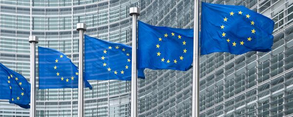 民調：約60%比利時人對歐盟不滿 - 俄羅斯衛星通訊社