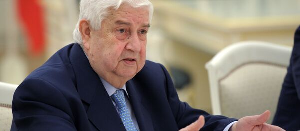 叙利亚外交部长瓦利德•穆阿利姆 - 俄罗斯卫星通讯社