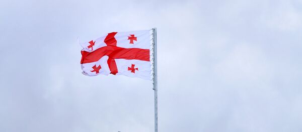 格鲁吉亚反对派认为格鲁吉亚脱离独联体是错误的 格鲁吉亚反对派认为格鲁吉亚脱离独联体是错误的 - 俄罗斯卫星通讯社