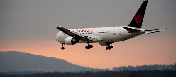 乘客不满飞机餐致飞机紧急迫降 - 俄罗斯卫星通讯社