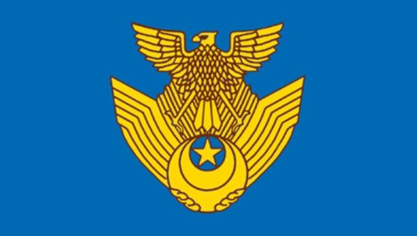 日本航空自卫队旗 - 俄罗斯卫星通讯社