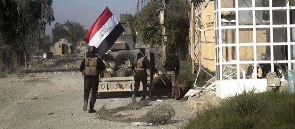 伊拉克军方拘留“伊斯兰国”恐怖组织的一名主要协调员 - 俄罗斯卫星通讯社