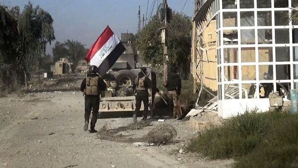 媒体：数个伊拉克什叶派武装团伙叛变开始为阿萨德当局作战 - 俄罗斯卫星通讯社