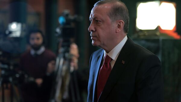 土耳其總統稱未遂政變受到西方支持 - 俄羅斯衛星通訊社