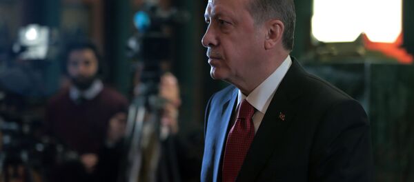 土耳其总统称未遂政变受到西方支持 - 俄罗斯卫星通讯社