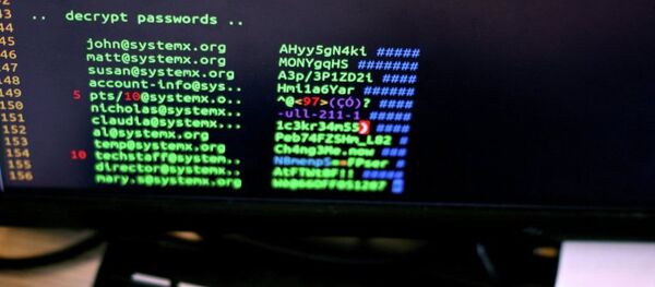 白宮未證實是俄黑客侵入民主黨服務器的消息 - 俄羅斯衛星通訊社