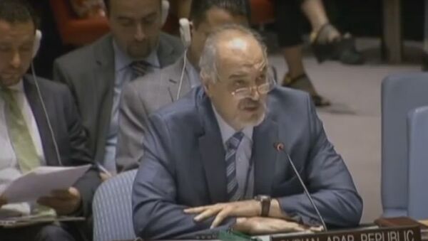 叙常驻联合国代表指责沙特和约旦造成开启日内瓦和谈延迟 - 俄罗斯卫星通讯社