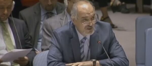 巴沙尔•贾法里 - 俄罗斯卫星通讯社