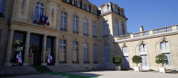 爱丽舍宫 - 俄罗斯卫星通讯社