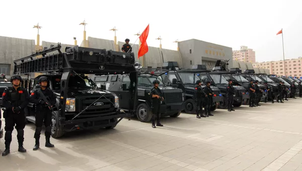 中國將派數千海軍陸戰隊員赴新疆冬訓 - 俄羅斯衛星通訊社