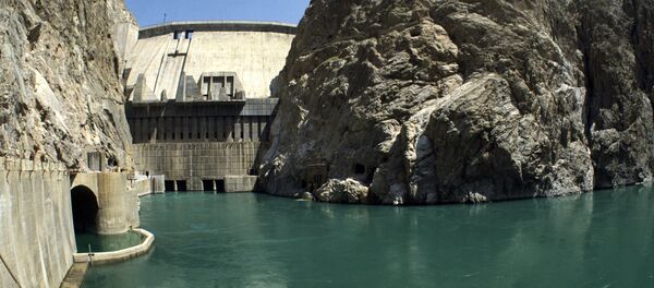 中国投资项目因吉尔吉斯斯坦居民反对被迫关闭 - 俄罗斯卫星通讯社