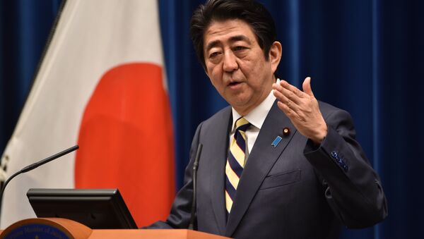 日本政府等待国会批准首相访俄计划 - 俄罗斯卫星通讯社