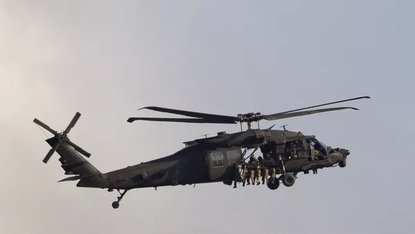 美國駐伊拉克大使否認美軍直升機在伊北部襲擊“伊斯蘭國” - 俄羅斯衛星通訊社
