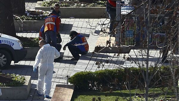 土总理达就德国公民在伊斯坦布尔爆炸中身亡向德总理表示慰问 - 俄罗斯卫星通讯社