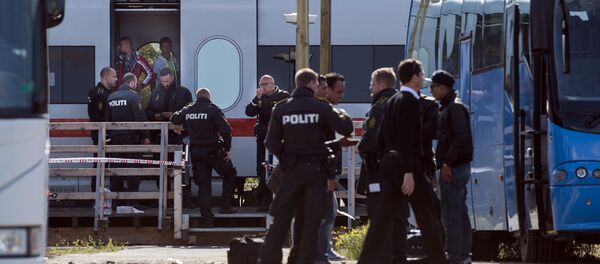 Офицеры пограничного контроля регистрируют беженцев на границе Дании и Германии - 俄罗斯卫星通讯社