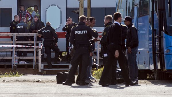 Офицеры пограничного контроля регистрируют беженцев на границе Дании и Германии - 俄羅斯衛星通訊社