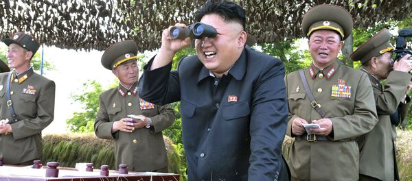 特朗普称朝鲜领导人是疯子 - 俄罗斯卫星通讯社