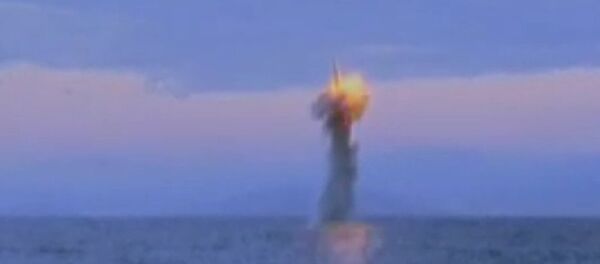 海基彈道導彈 - 俄羅斯衛星通訊社