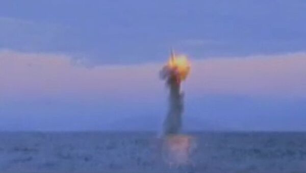 海基彈道導彈 - 俄羅斯衛星通訊社